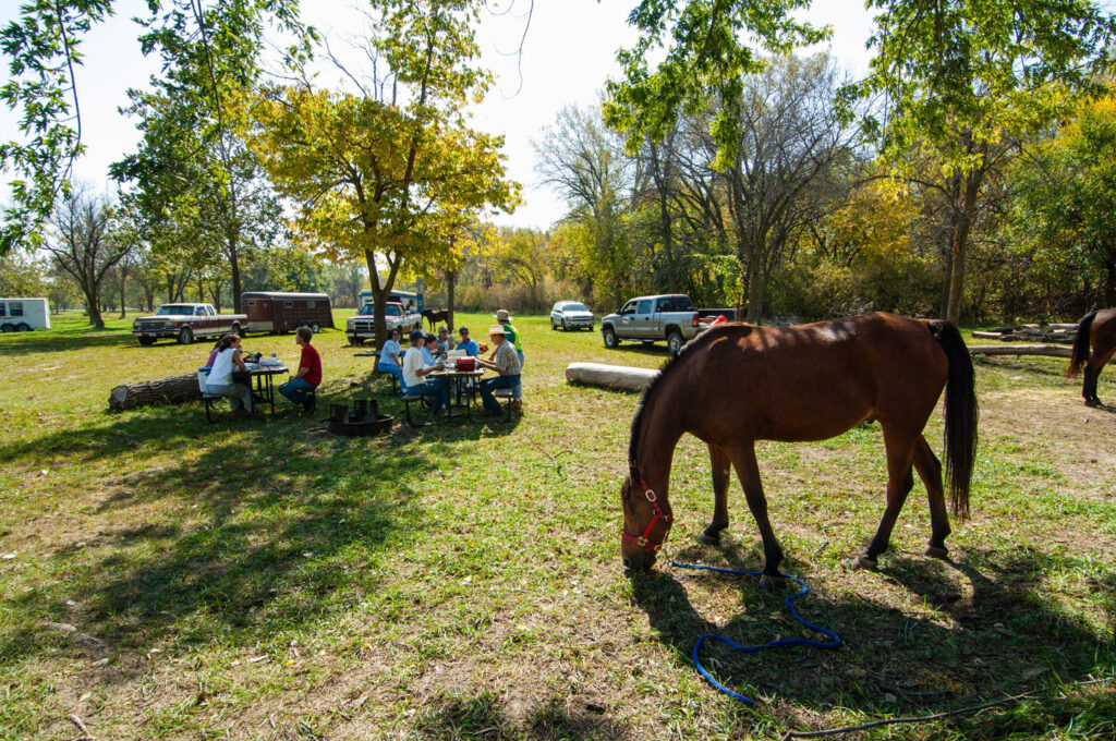 a horse grazes nearby a group of campers at a picnic table