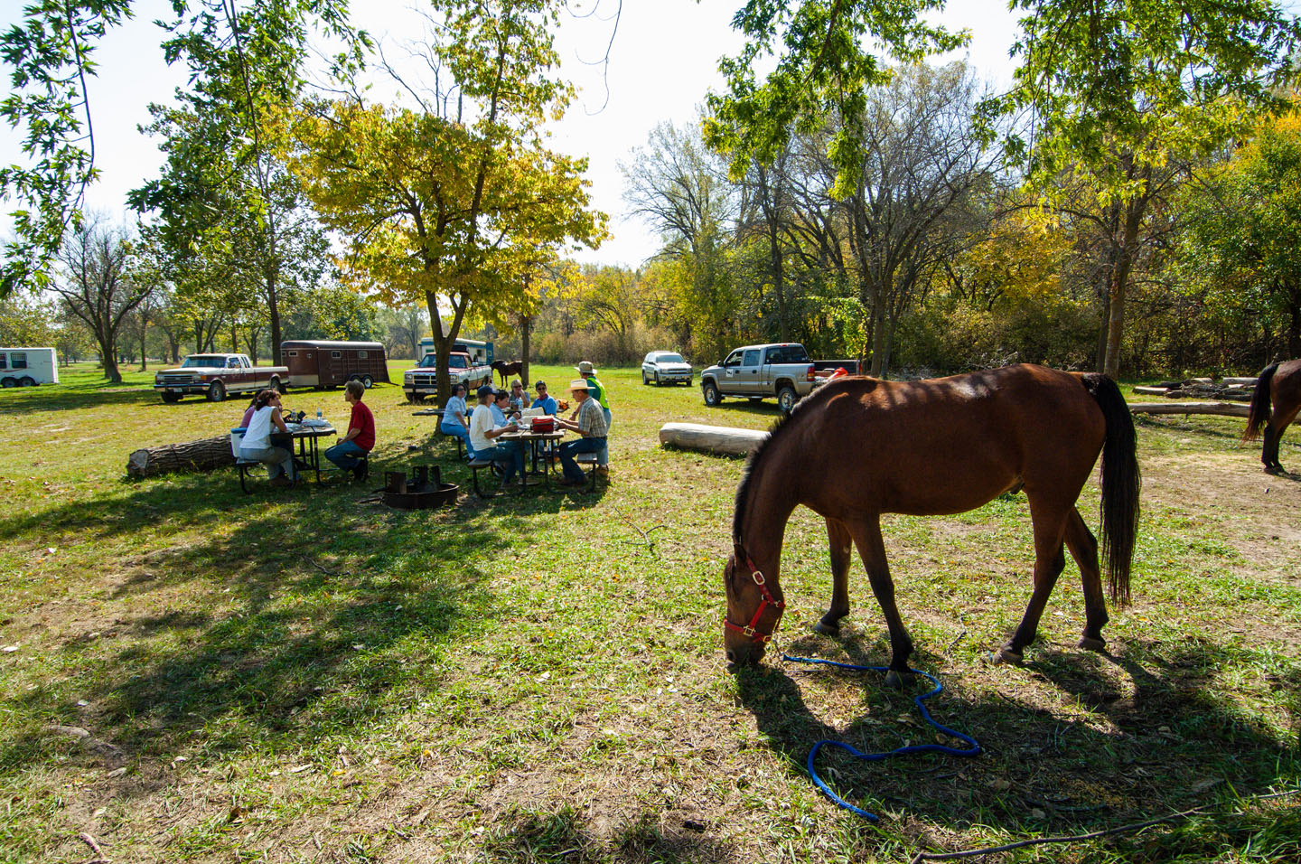 Nebraska's Two Rivers: Where Nature's Symphony Plays On