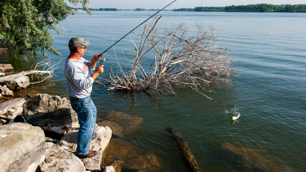 a man catches a fish from the bank of the lake