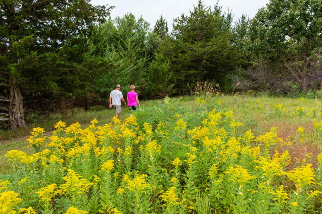 A man and woman walk along a mowed lawn path among yellow prairie flowers