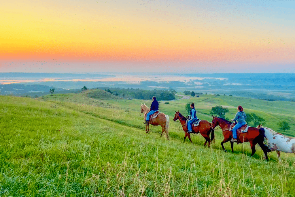a group of horseback riders cross a grassy landscape at sunrise
