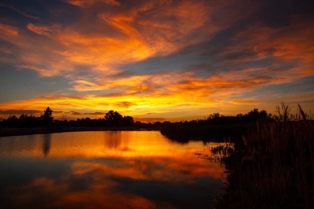 A vivid summer sunset over a tree-lined river.