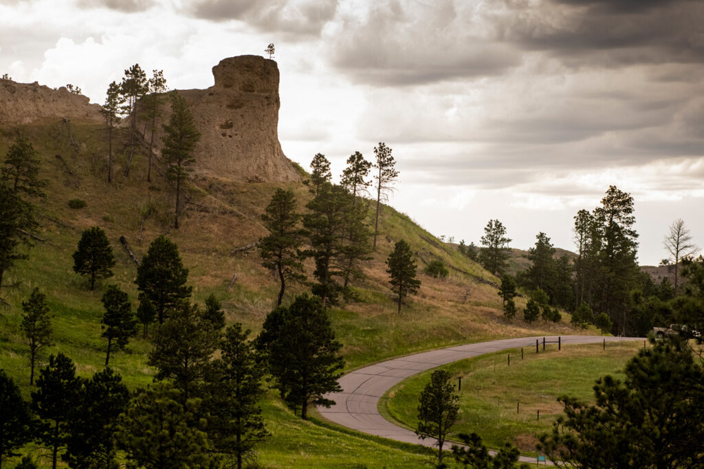A lone tree stands upon a butte, a road below.