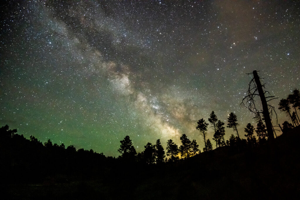 The Milkway glows bright above a row of pine trees on top of a butte.