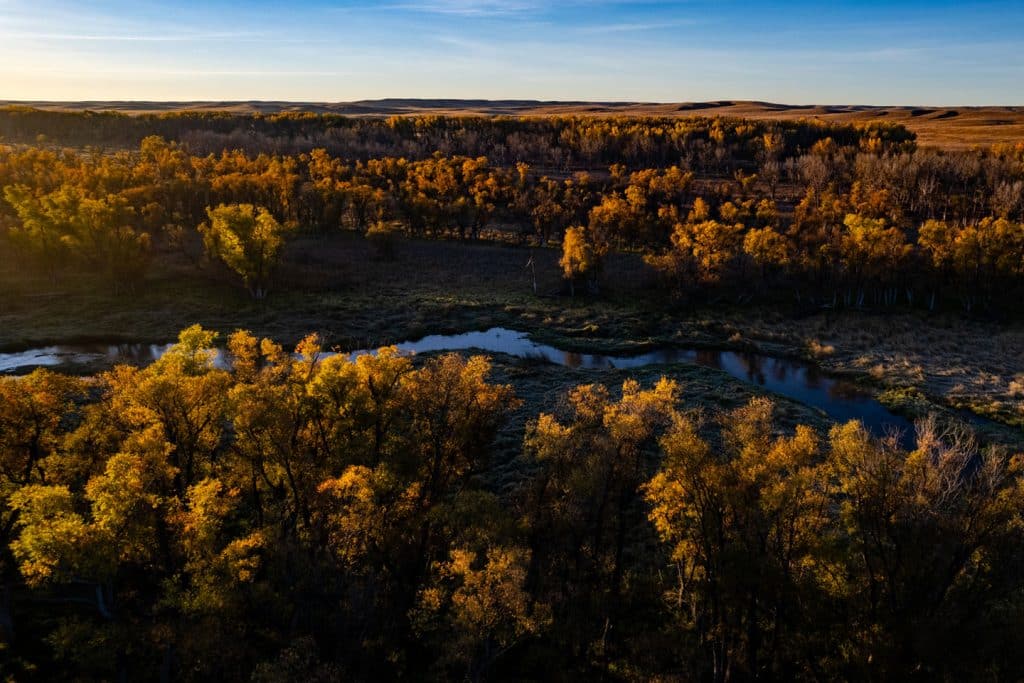 Aerial view of a sunrise over a wooded river area during fall.