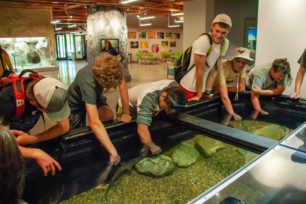 students reach into the touch tank to feel live fish