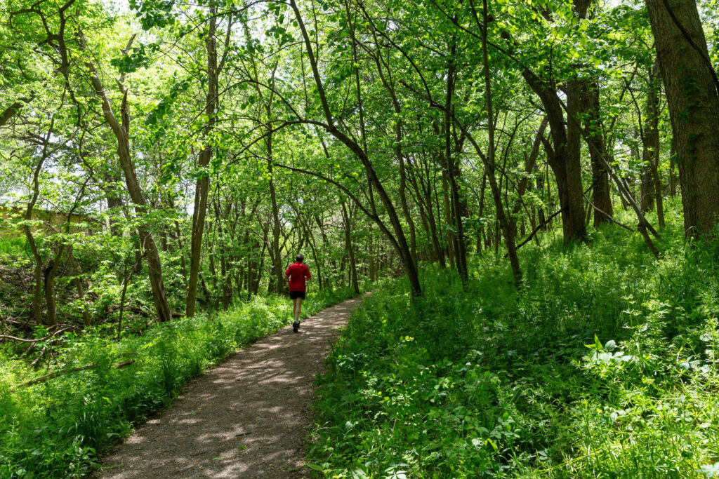 a runner enjoys a nature trail through the woods