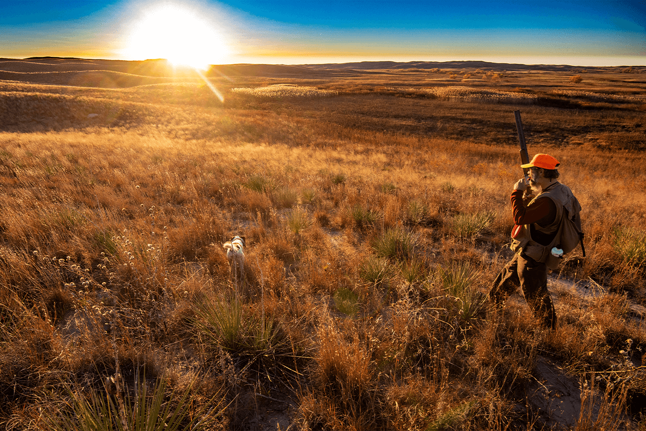 Excitement high for state’s pheasant opener