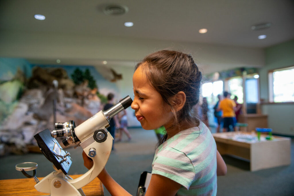 A girl looks through a microscope.