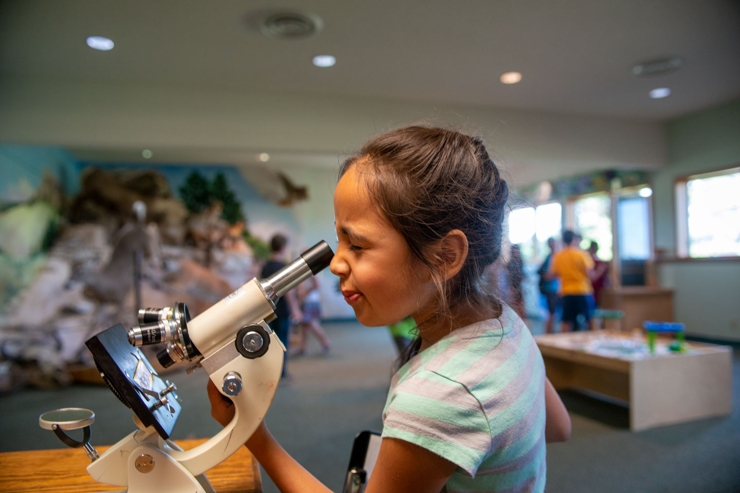 A girl looks through a microscope.