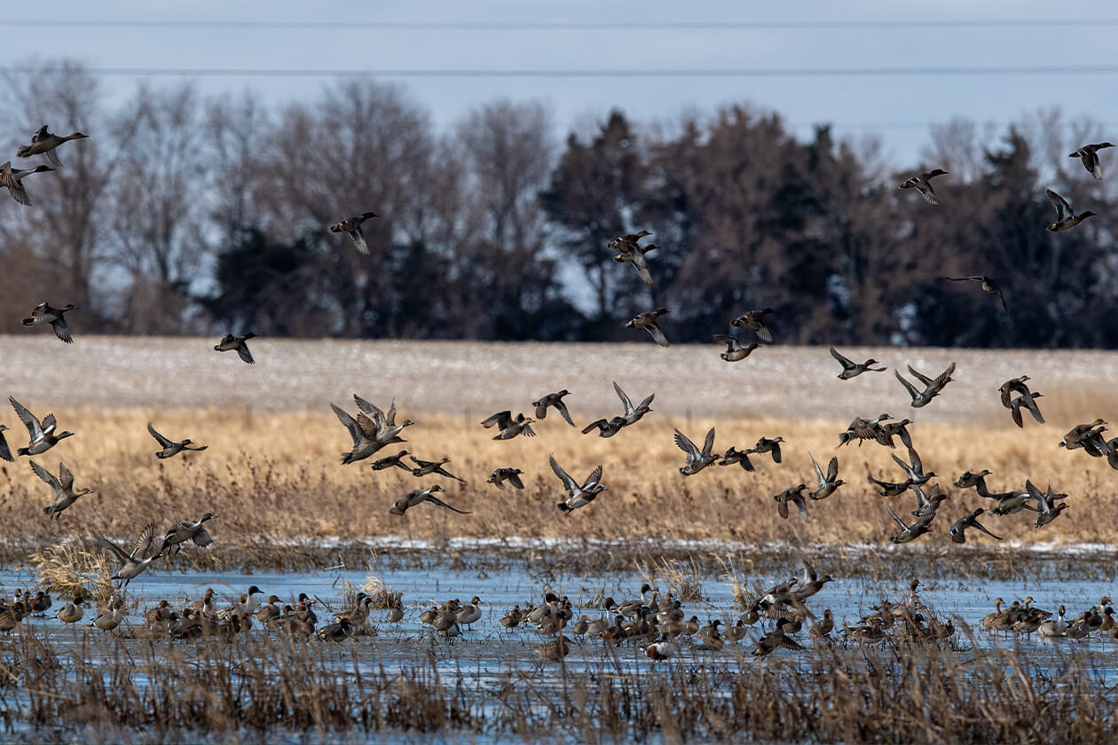 Enjoy fun state park events this March