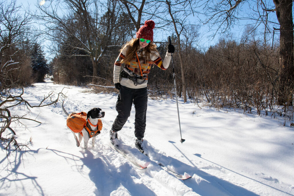 A woman and her dog cross-country skiing on a trail during winter
