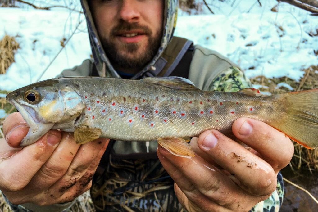 a man holds a brown trout