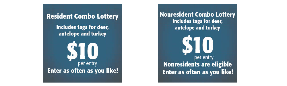 Combo lottery logos