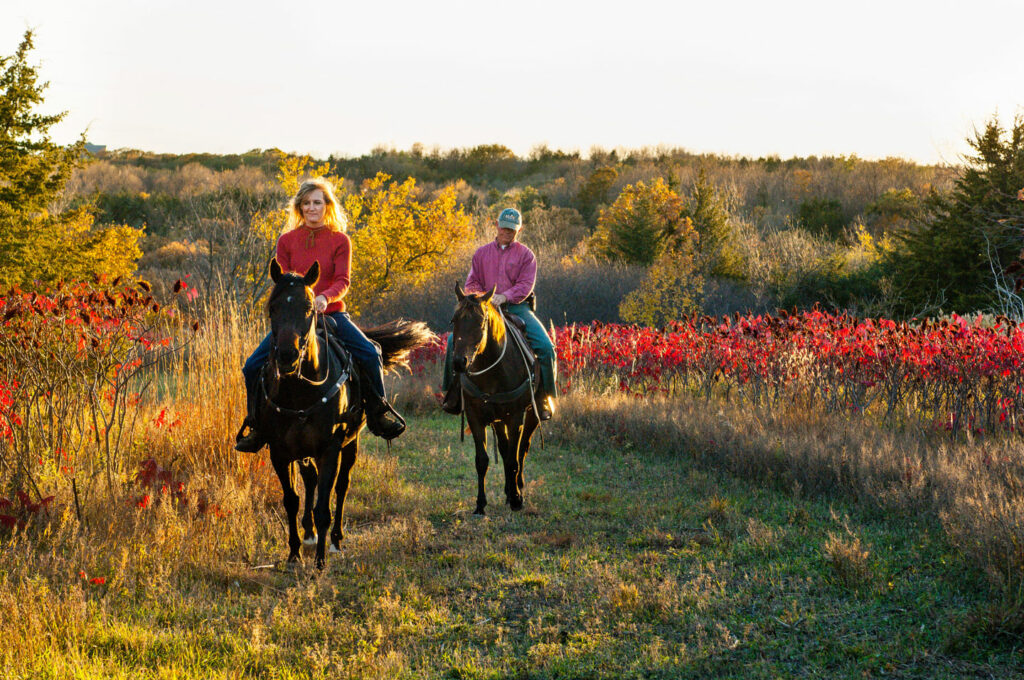 A man and woman ride their horse through an equestrian trail.