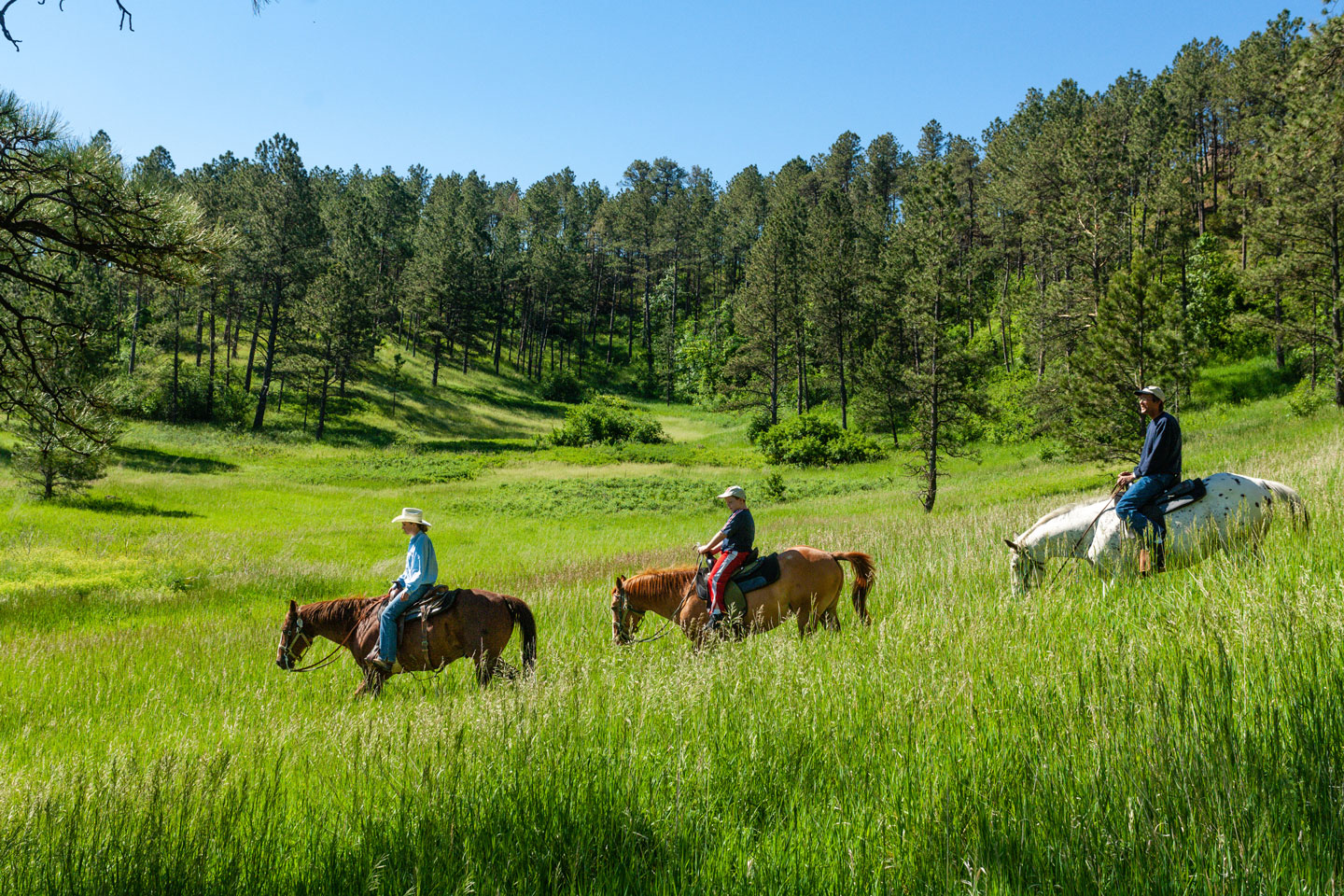 Three horseback riders making their way across a meadow.