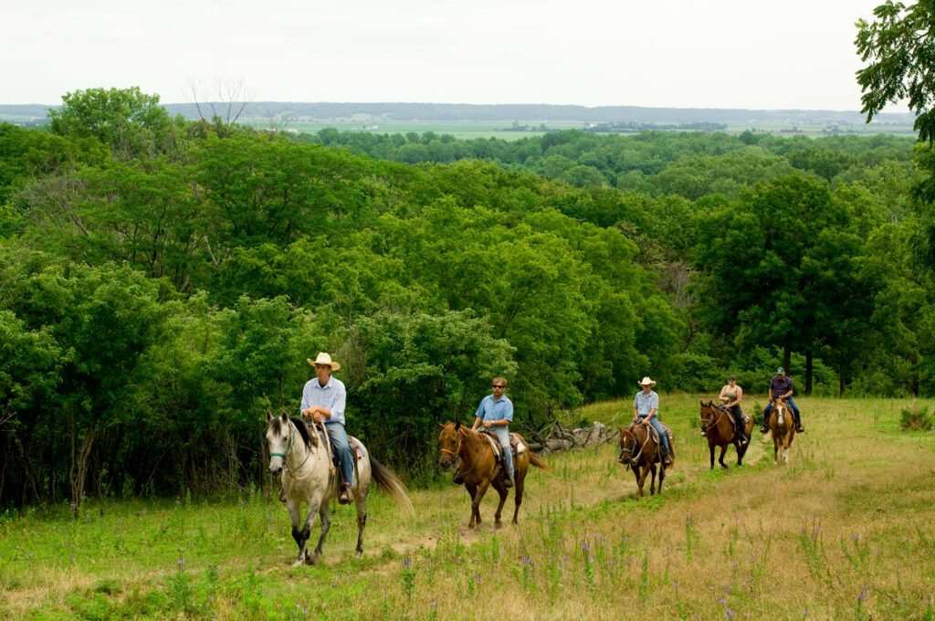 Horseback riders riding at the edge of trees.