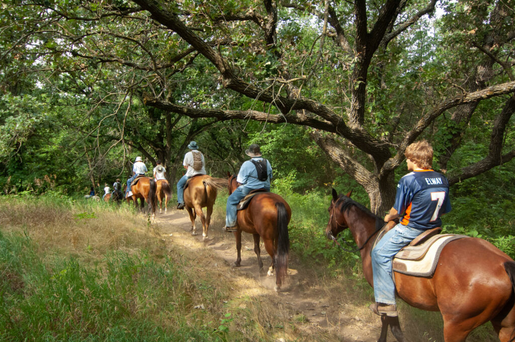 Horseback riders riding a trail through a forest.