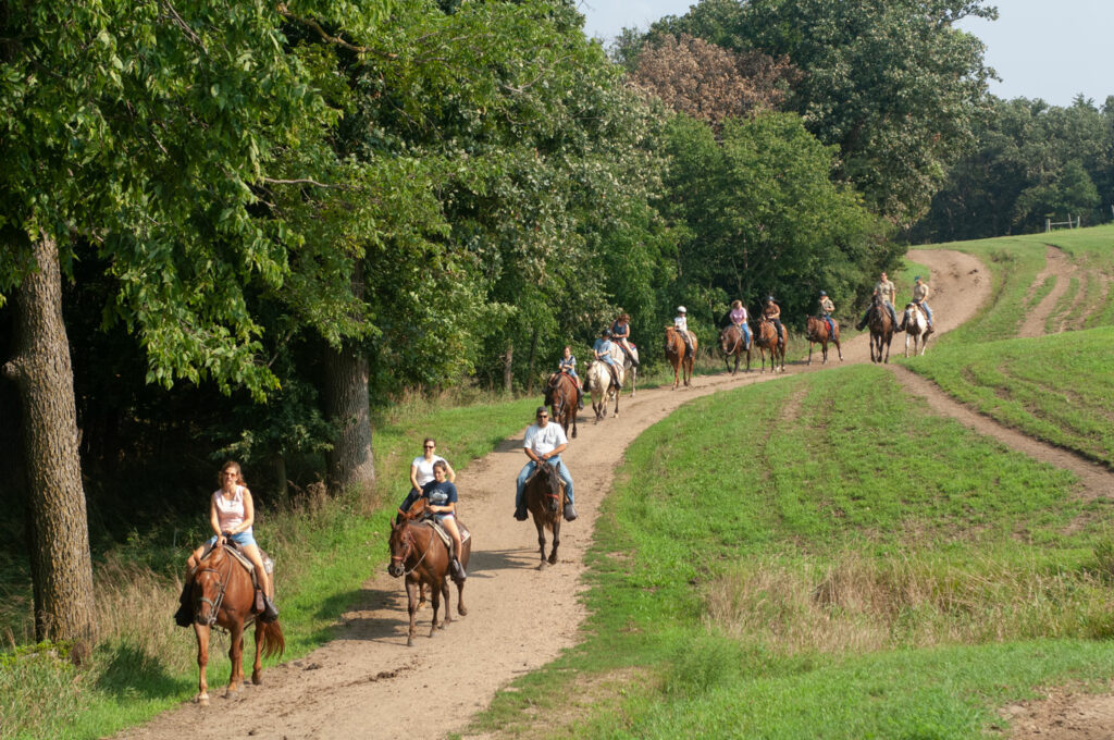 Horseback riders riding a trail at the edge of a forest.