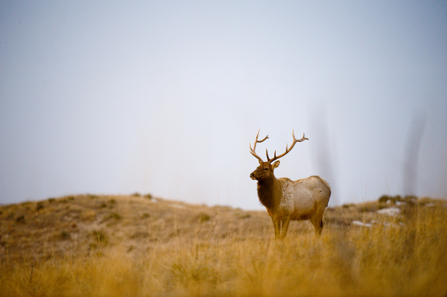 Multispecies lottery permit applications accepted beginning Jan. 2