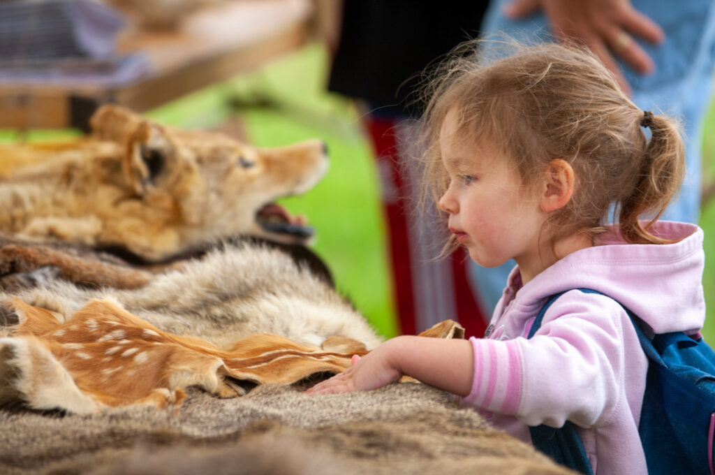A little girl looks at pelts