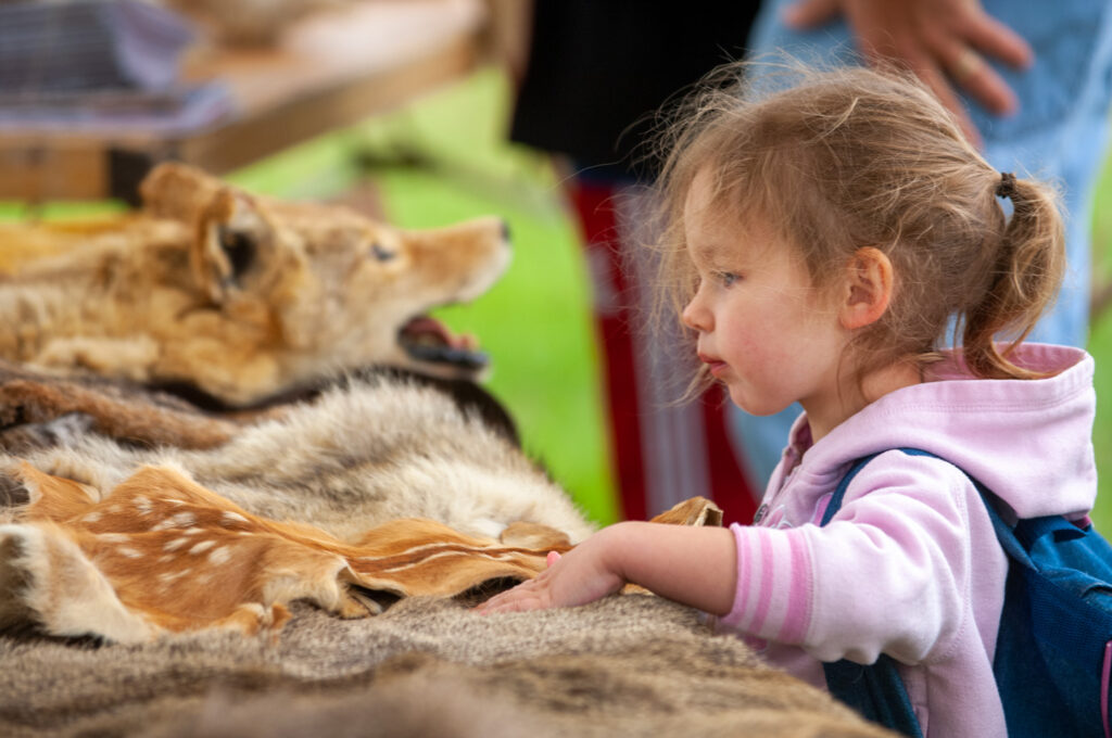 Science of…Keystone Species  Outdoor Nebraska Nebraska Game and Parks  Outdoor Calendar