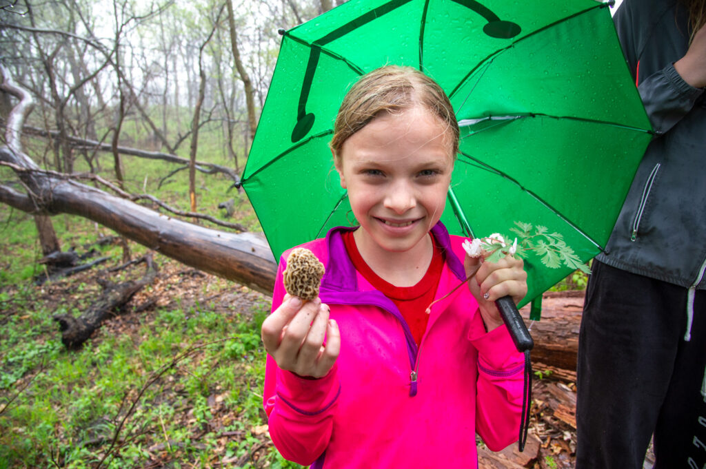 A girl holds up a morel mushroom