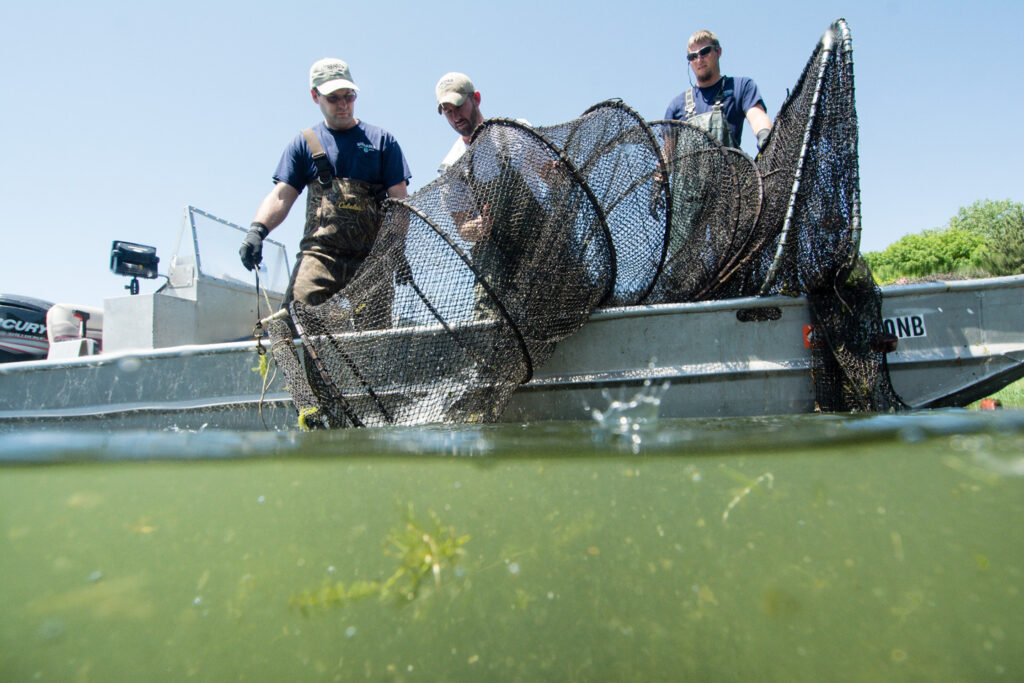 15+ Nebraska Fishing Report