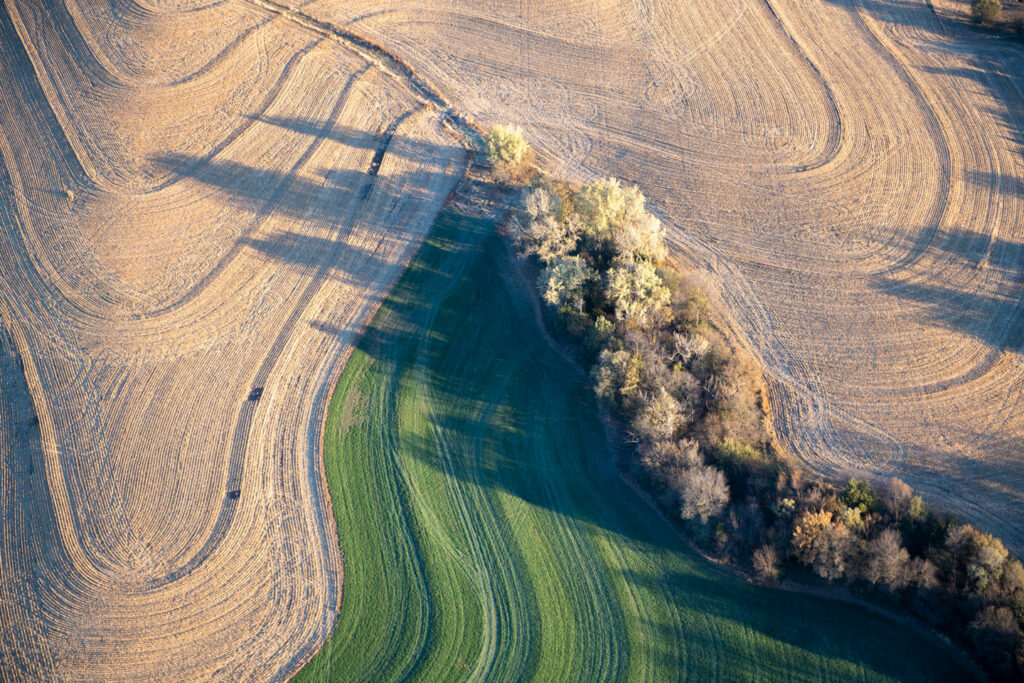 Habitat loss, degradation and fragmentation<br>