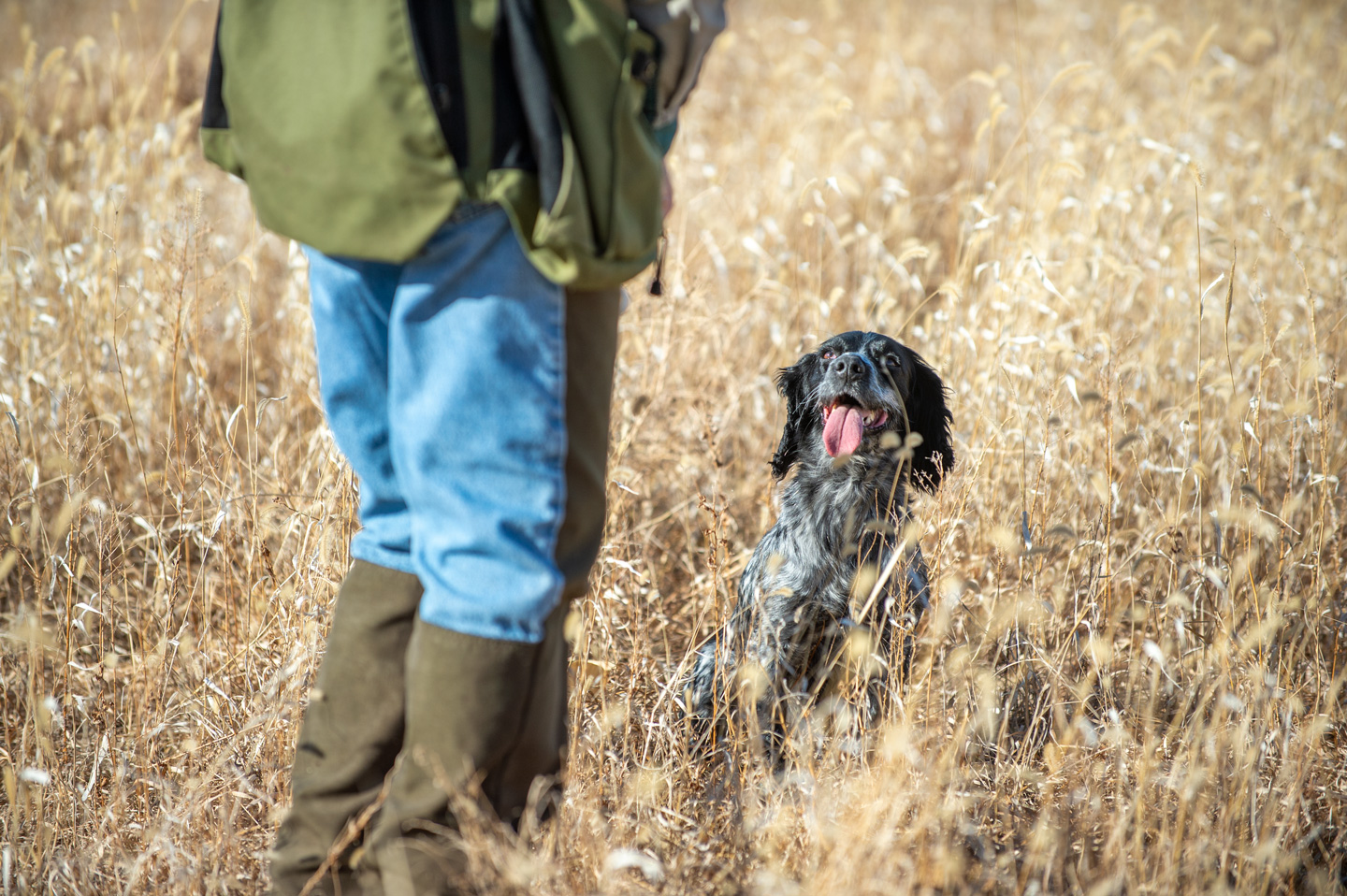 Wildlife-friendly fences  Nebraska Game & Parks Commission