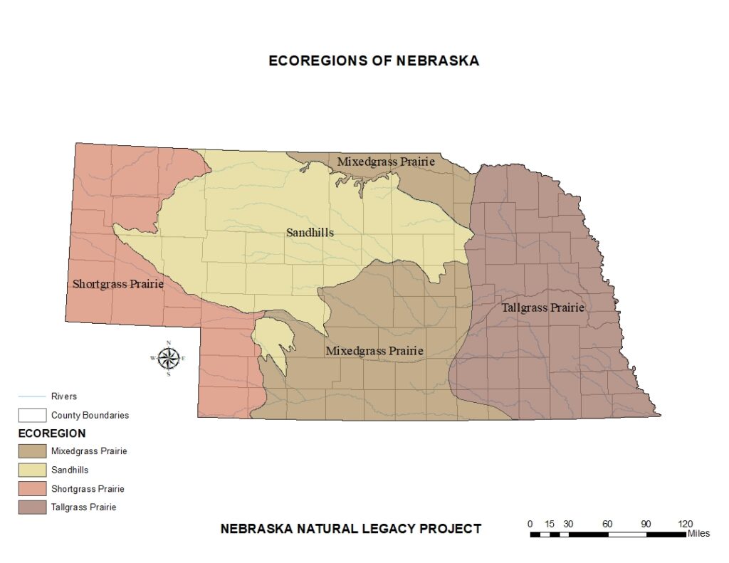 Map of ecoregions of Nebraska shows regions of mixedgrass prairie, sandhills, shortgrass prairie and tallgrass prairie.
