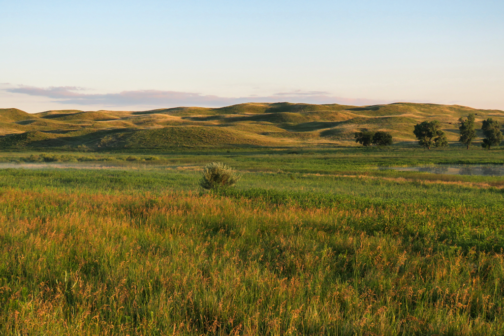 Prairies  Nebraska Game & Parks Commission