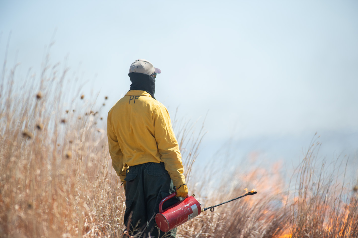 Prescribed burns set for Cedar and Knox county OFW sites
