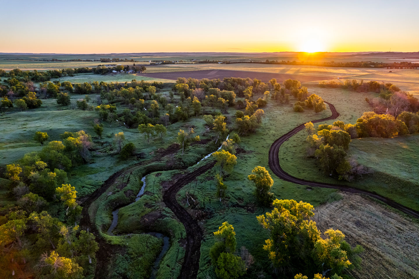 Drone image shows Aquatic Habitat Program cool water stream project on Big Bordeaux Creek at sunrise.