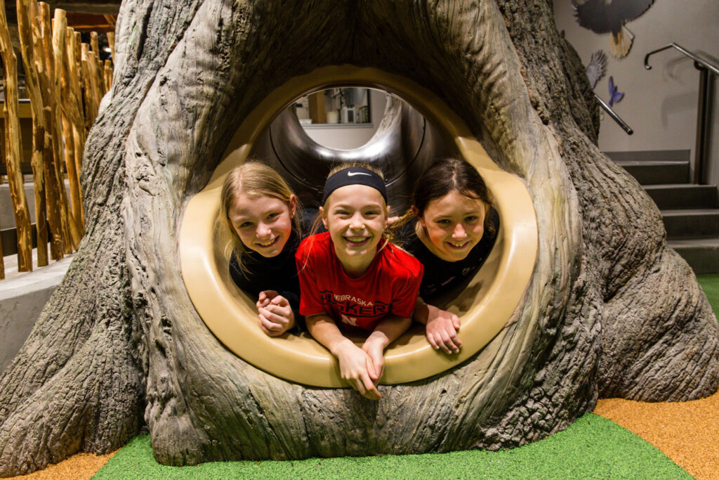 three girls play in a slide that is shaped like a tree