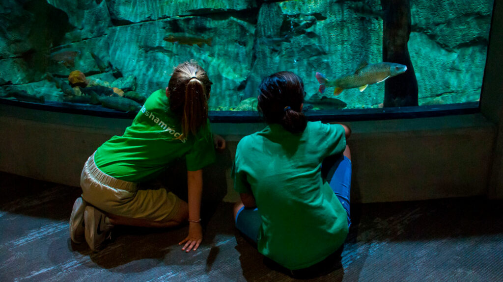 two young girls sit and watch fish swim in a large aquarium