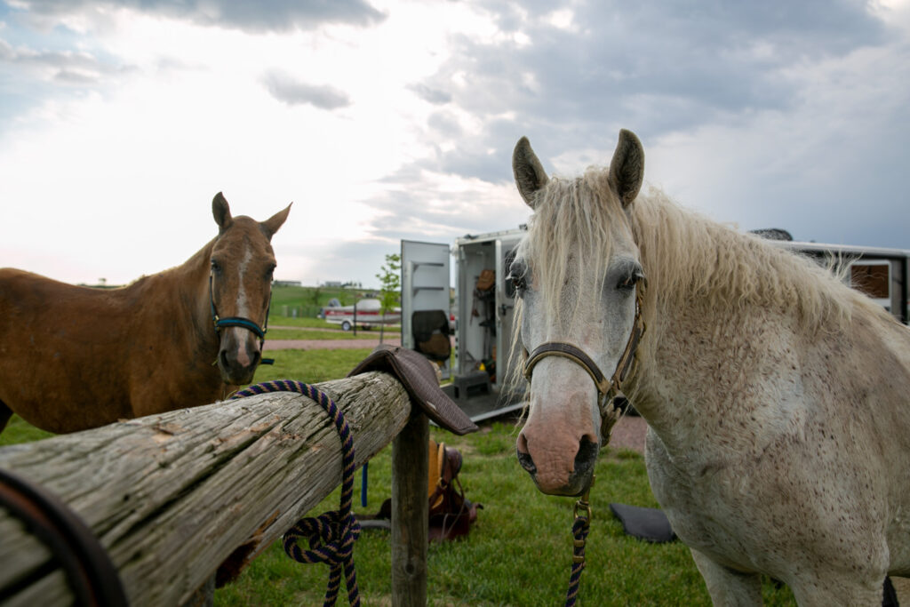 Two horses are tied to a hitching post
