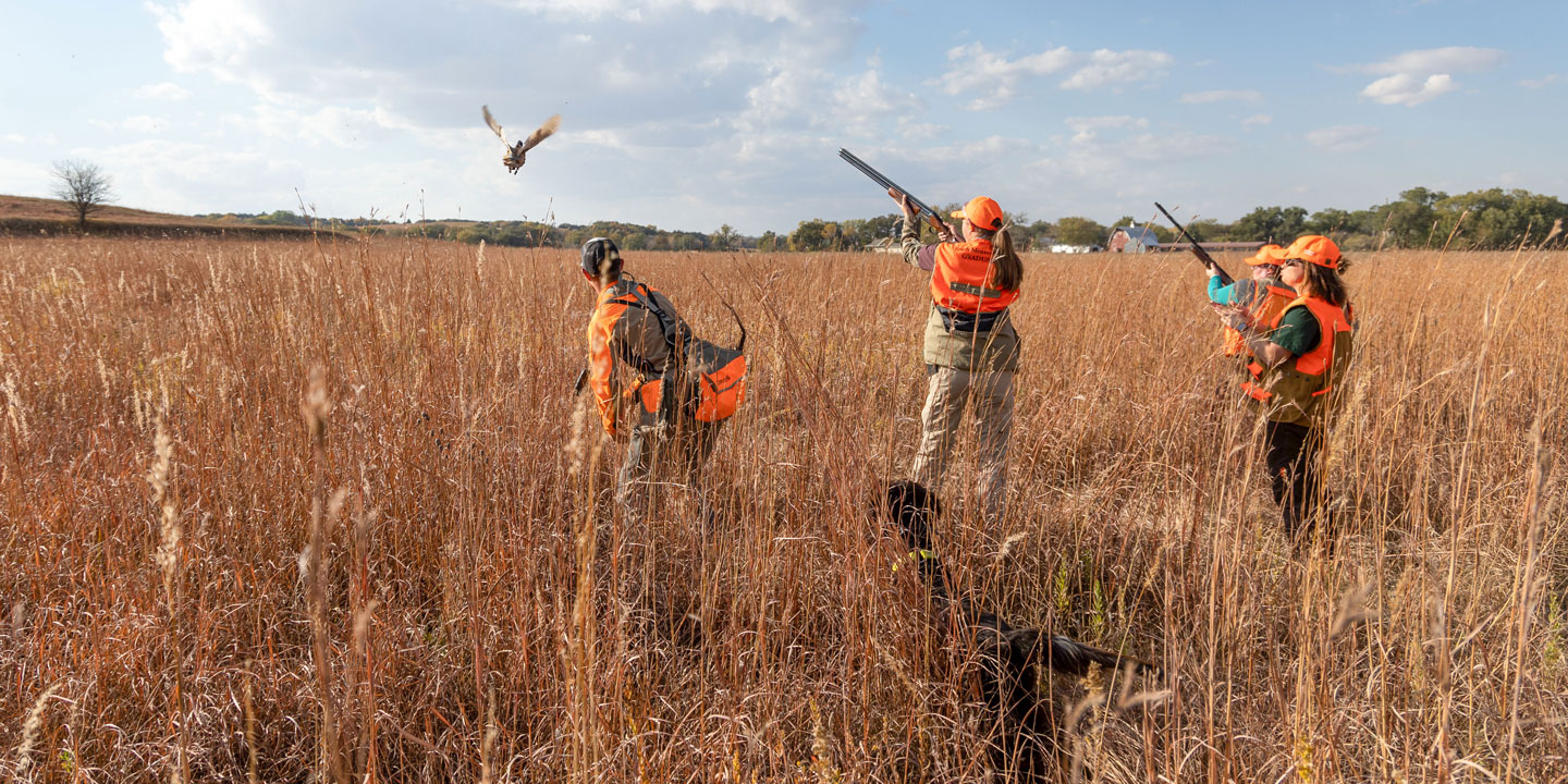 Read More: Upland hunters see variable success in opener