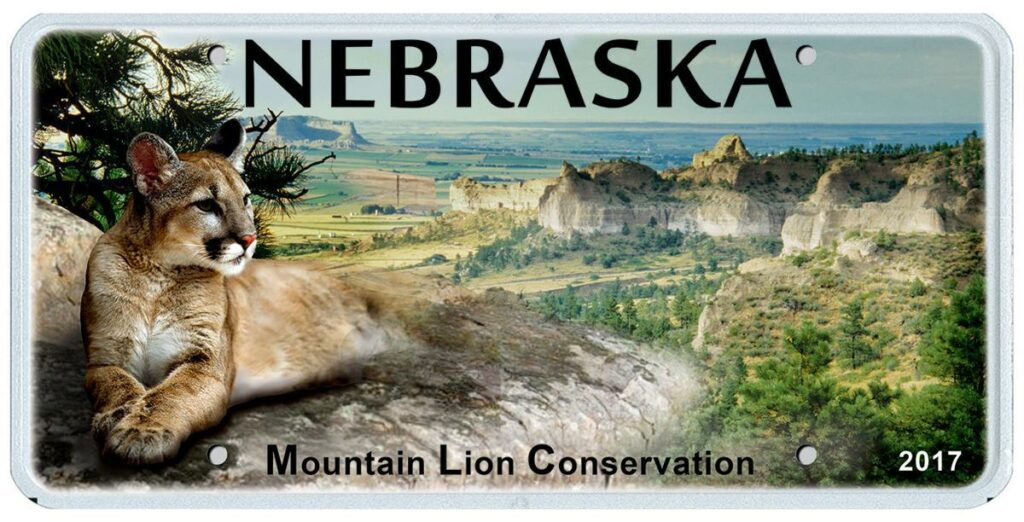 Nebraska license plate with a mountain lion on it.