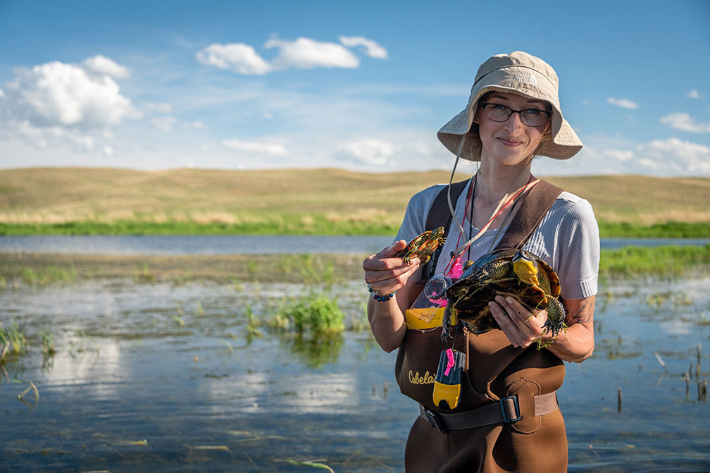 A female biology student holding a Blanding's and painted turtle on a private wetland in the Nebraska Sandhills.
