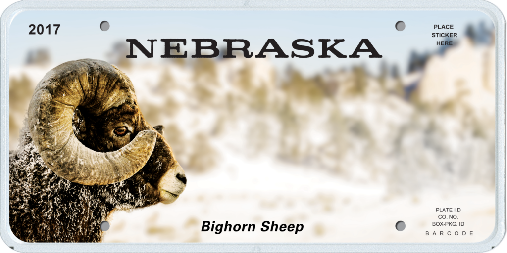 Nebraska license plate with bighorn sheep on it.