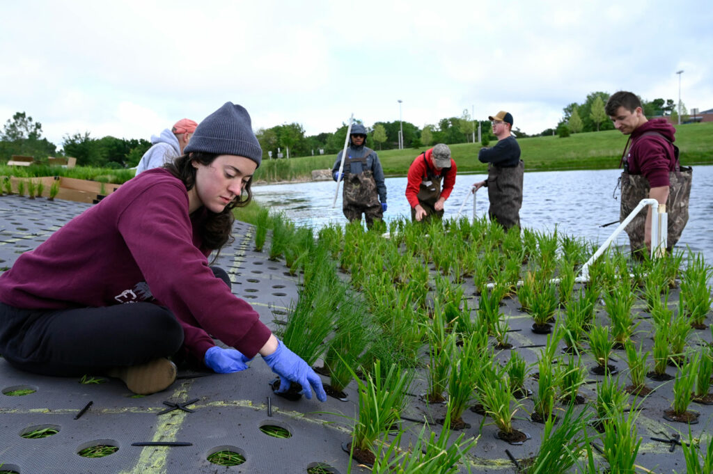 A group of UNL researchers assemble a floating treatment wetland with PVC pipe, native wetland adapted plants and floating vegetation mat to help improve water quality in urban spaces.