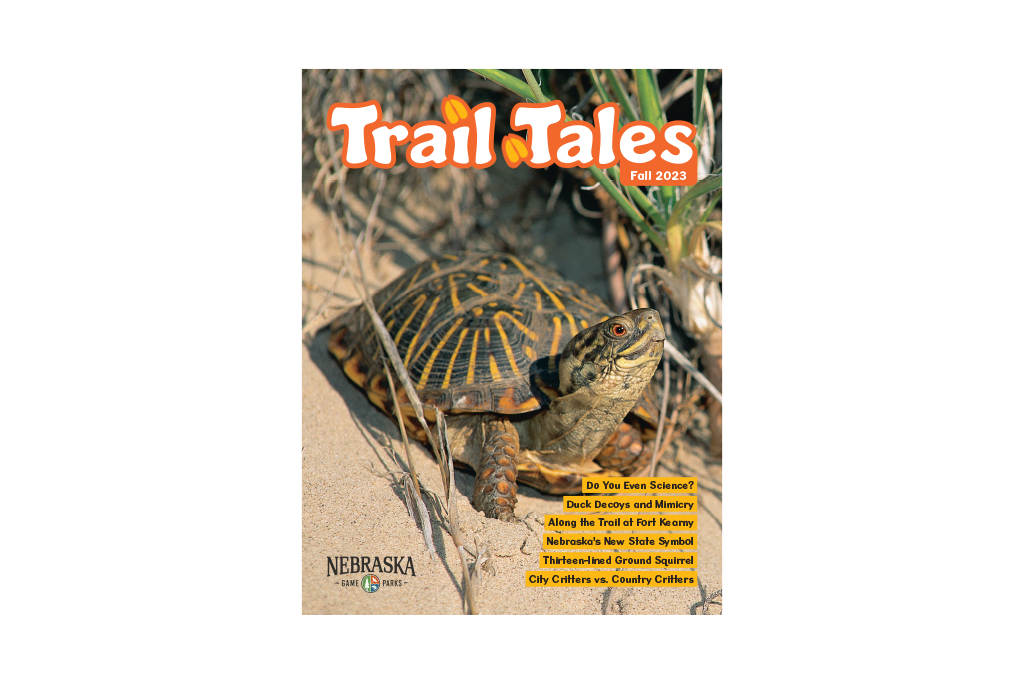 Trail Tales cover