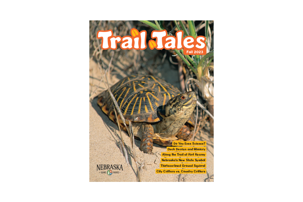 Trail Tales