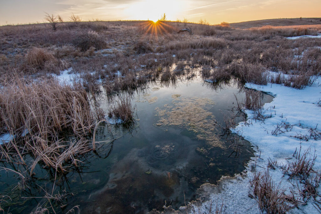 The sun sets beyond a groundwater fed spring in Little Salt Fork Marsh.