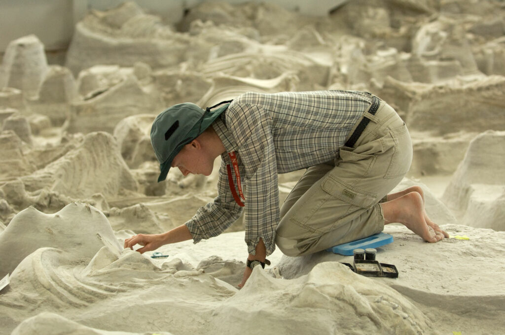 A worker excavating fossil bones at Ashfall Fossil Beds.
