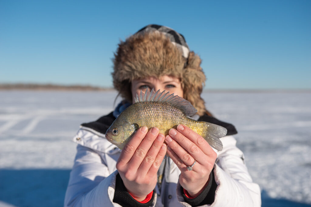 A woman holds up a bluegill.