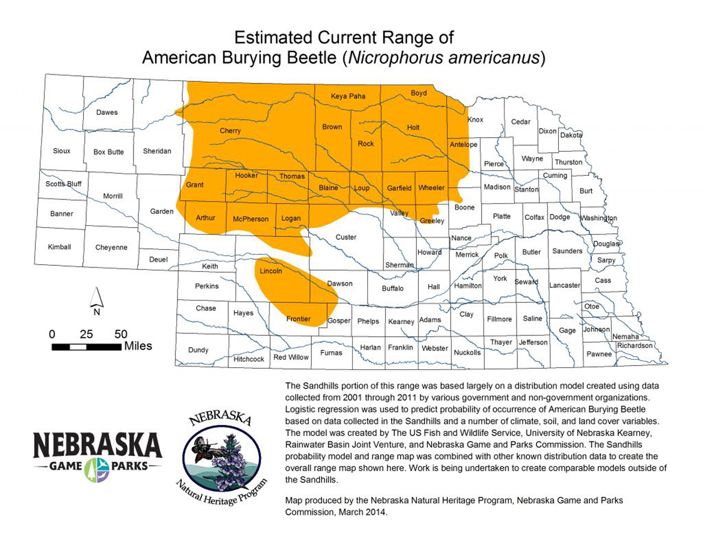 American Burying Beetle Nebraska Game And Parks Commission 5702