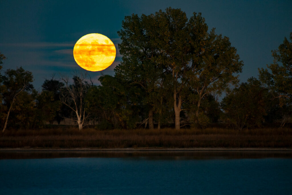 Full moon above a tree line overlooking a lake