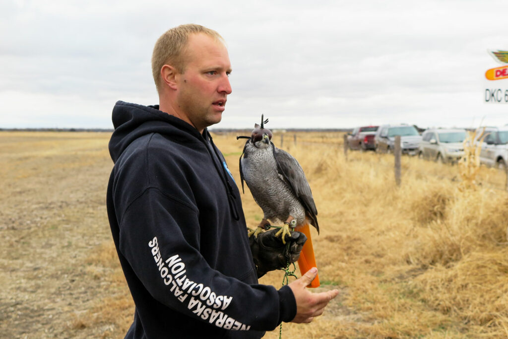 A man holds a falcon while standing in a field during a falconry demonstration.